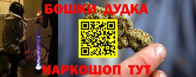 mdpv Новодвинск