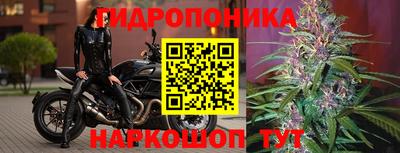mdpv Новодвинск